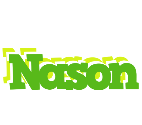 Nason picnic logo