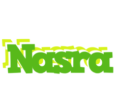 Nasra picnic logo