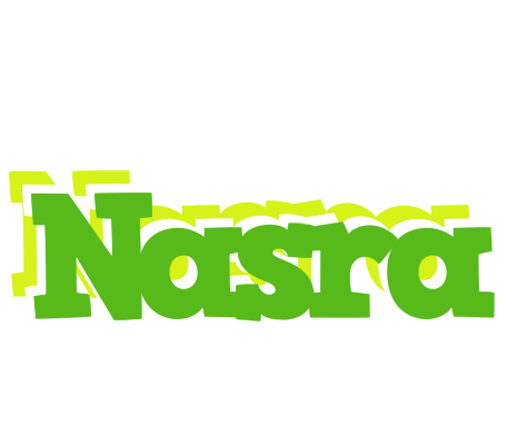 Nasra picnic logo