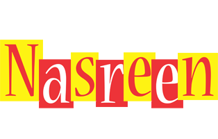 Nasreen errors logo