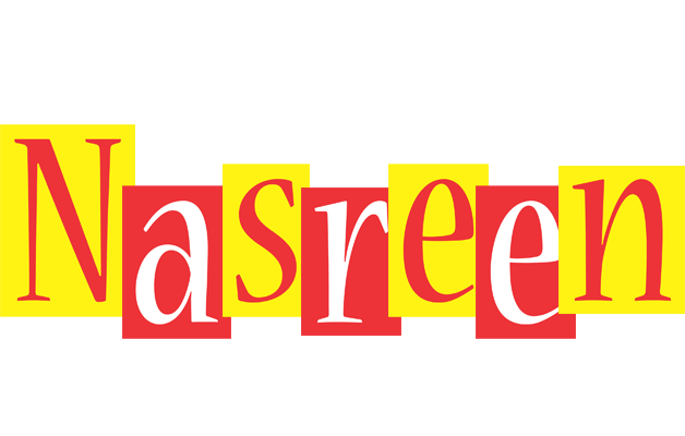 Nasreen errors logo