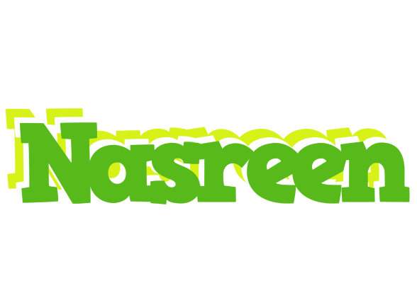 Nasreen picnic logo