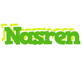 Nasren picnic logo