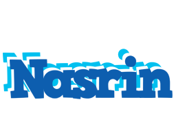 Nasrin business logo