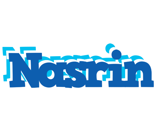 Nasrin business logo