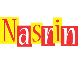 Nasrin errors logo