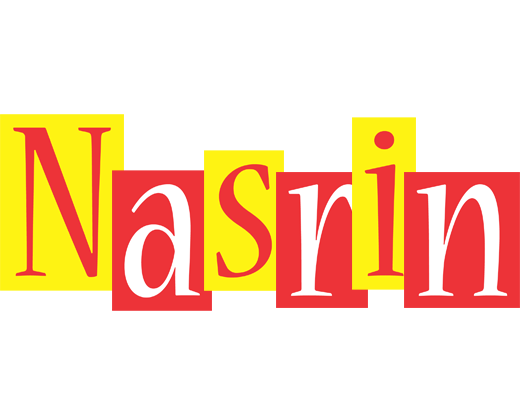 Nasrin errors logo
