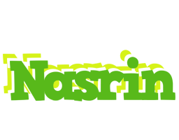 Nasrin picnic logo