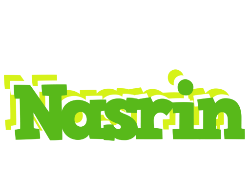 Nasrin picnic logo