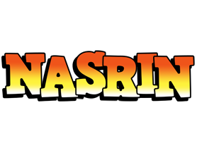 Nasrin sunset logo