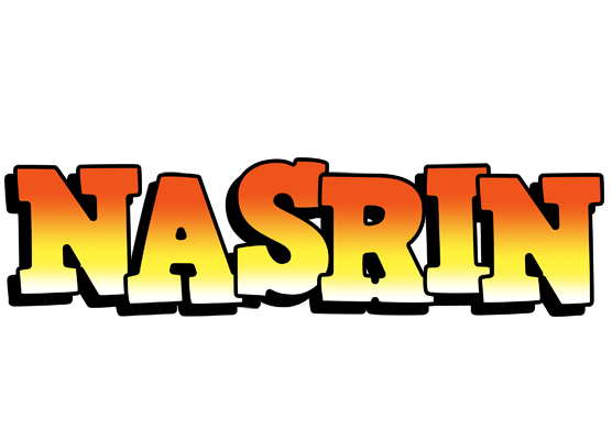 Nasrin sunset logo