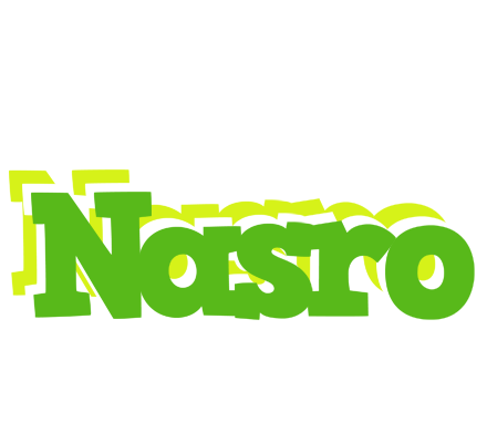 Nasro picnic logo