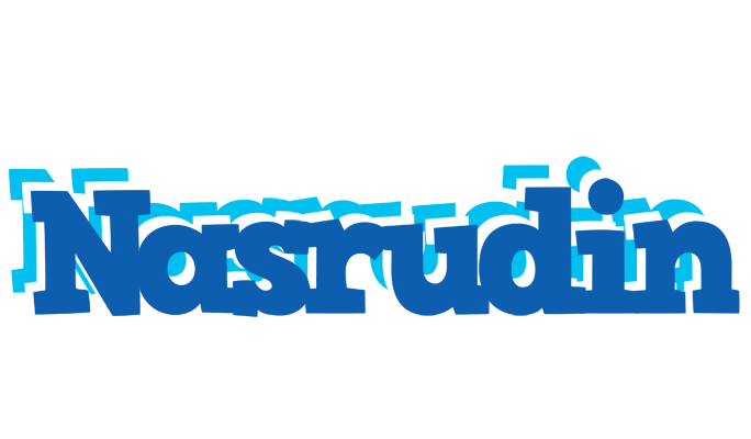 Nasrudin business logo