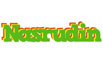 Nasrudin crocodile logo