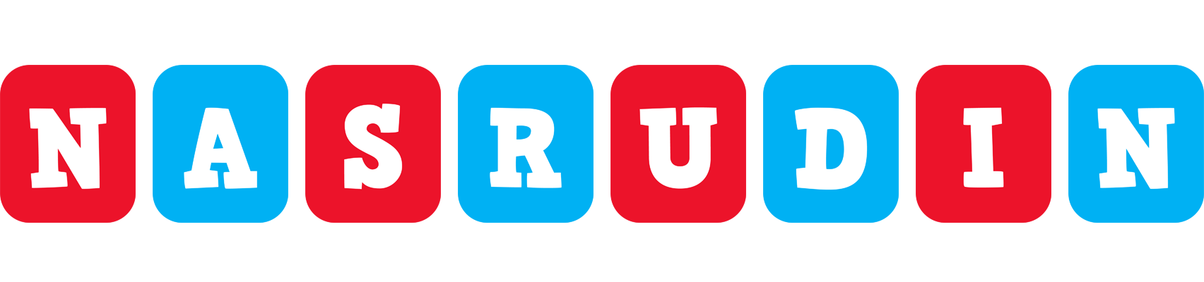 Nasrudin diesel logo