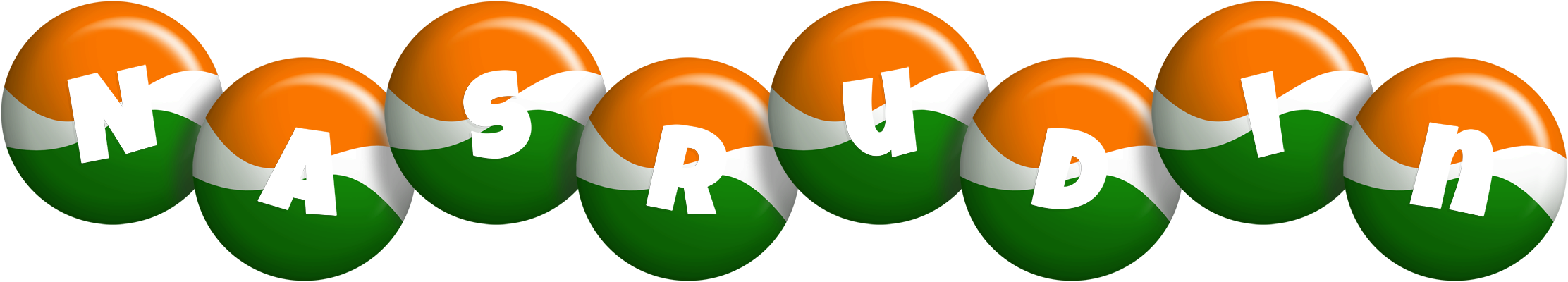 Nasrudin india logo