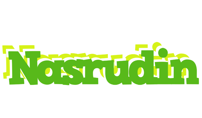 Nasrudin picnic logo