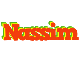 Nassim bbq logo