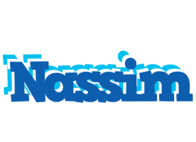 Nassim business logo