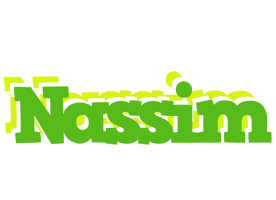 Nassim picnic logo