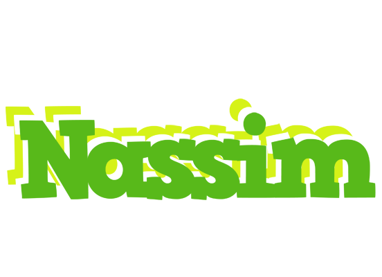 Nassim picnic logo