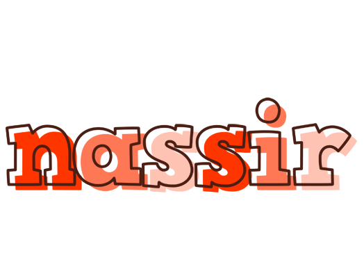 Nassir paint logo