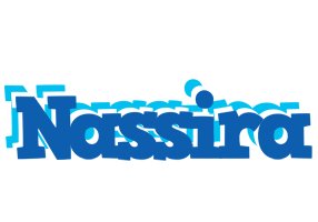 Nassira business logo