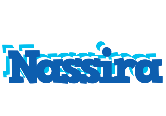 Nassira business logo