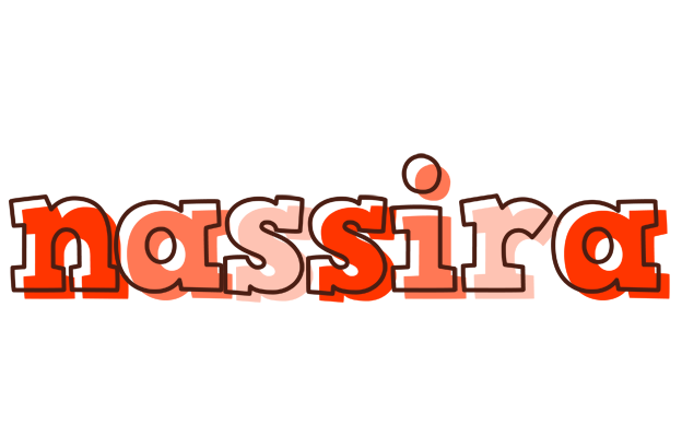 Nassira paint logo