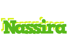 Nassira picnic logo