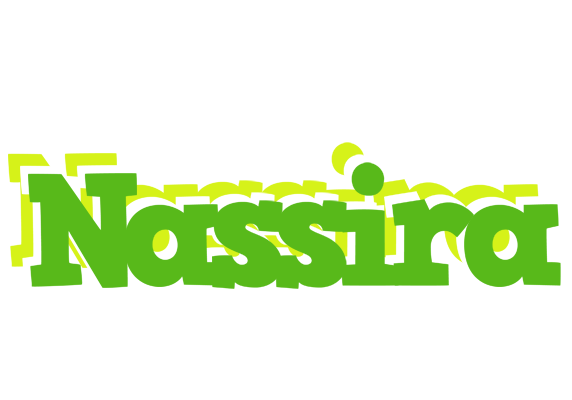 Nassira picnic logo
