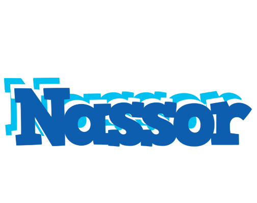 Nassor business logo