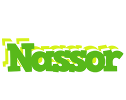 Nassor picnic logo
