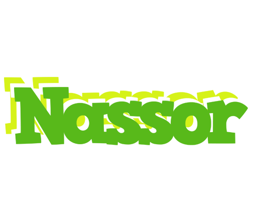 Nassor picnic logo