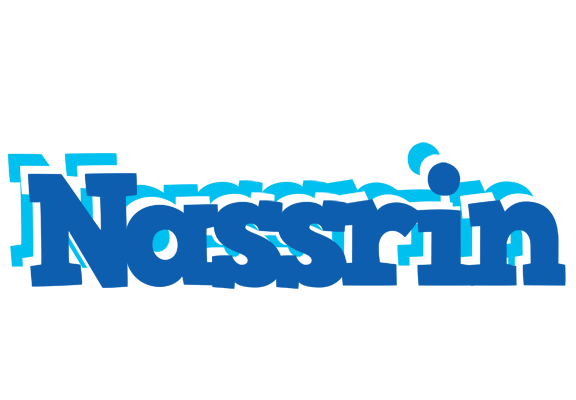 Nassrin business logo