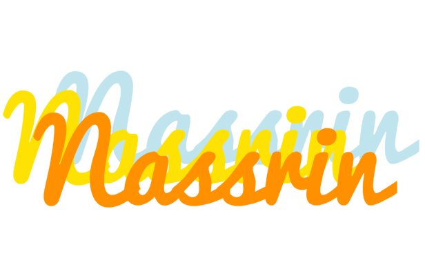 Nassrin energy logo