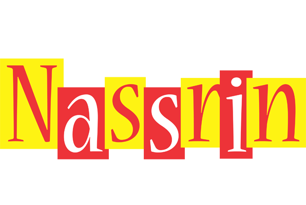 Nassrin errors logo