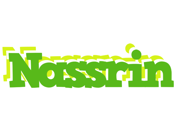 Nassrin picnic logo