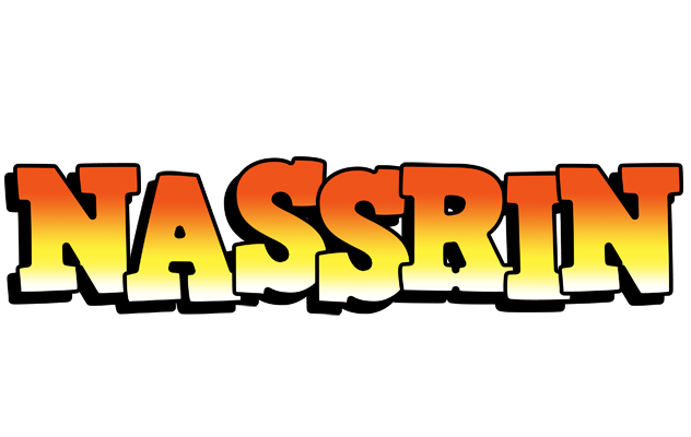 Nassrin sunset logo