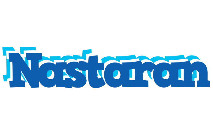 Nastaran business logo