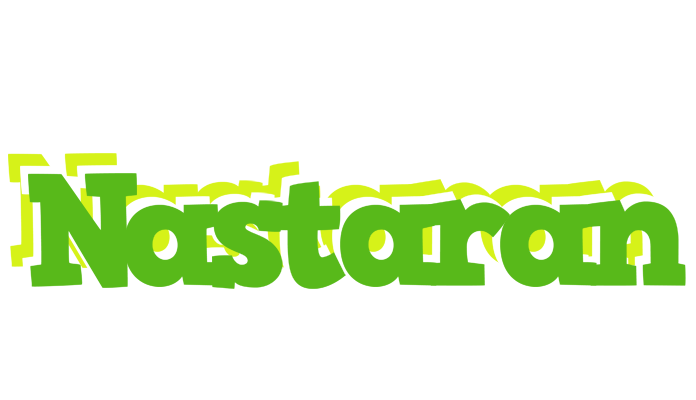 Nastaran picnic logo