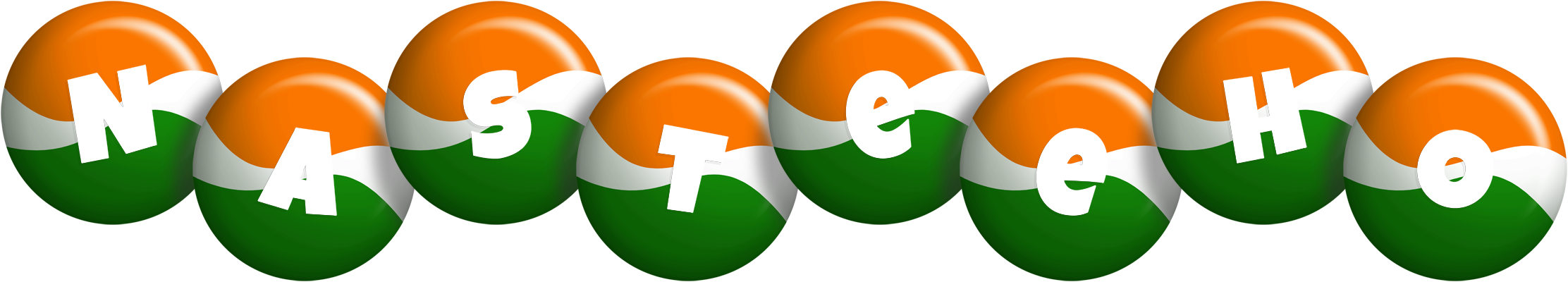 Nasteeho india logo