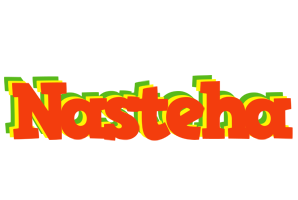 Nasteha bbq logo
