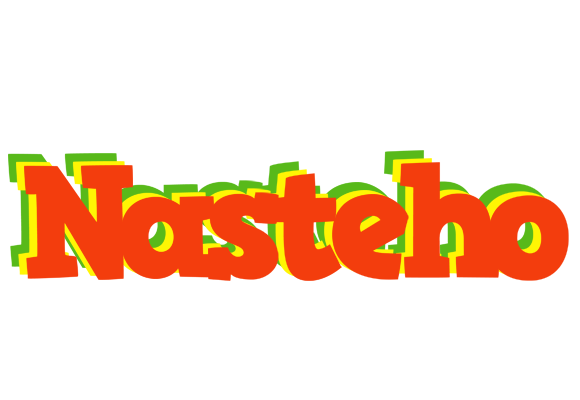 Nasteho bbq logo