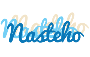Nasteho breeze logo
