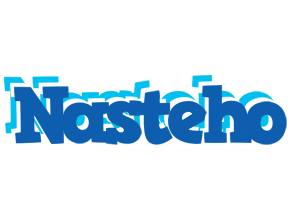 Nasteho business logo