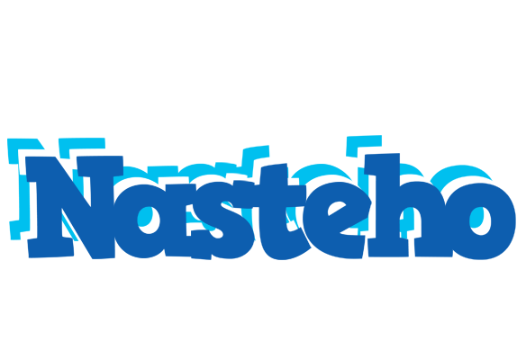 Nasteho business logo