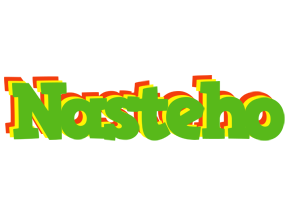 Nasteho crocodile logo