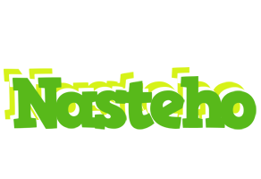 Nasteho picnic logo