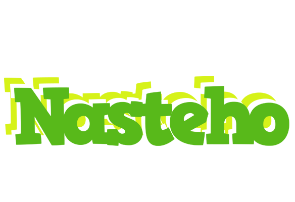 Nasteho picnic logo